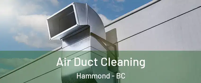  Air Duct Cleaning Hammond - BC