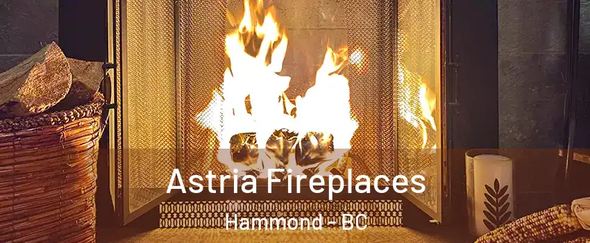  Astria Fireplaces Hammond - BC