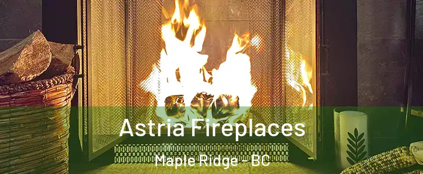  Astria Fireplaces Maple Ridge - BC
