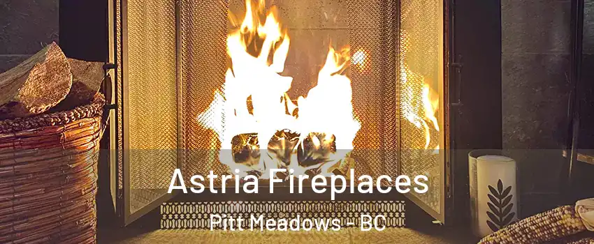  Astria Fireplaces Pitt Meadows - BC