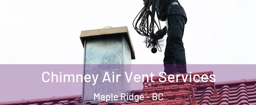  Chimney Air Vent Services Maple Ridge - BC