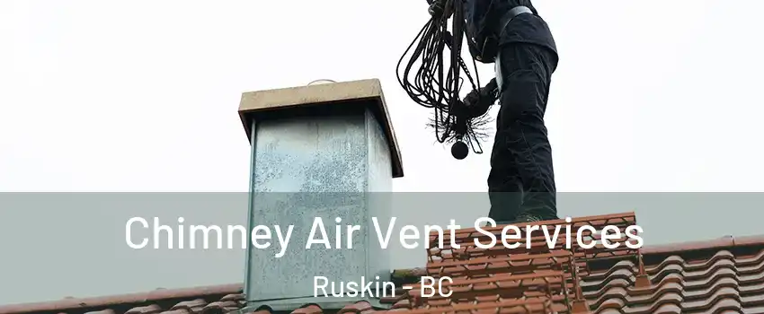 Chimney Air Vent Services Ruskin - BC