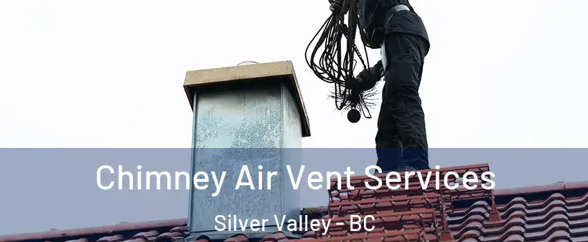  Chimney Air Vent Services Silver Valley - BC