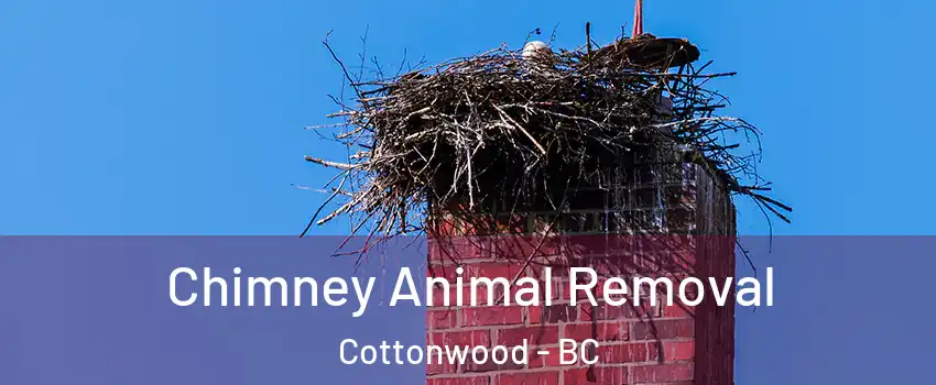 Chimney Animal Removal Cottonwood - BC