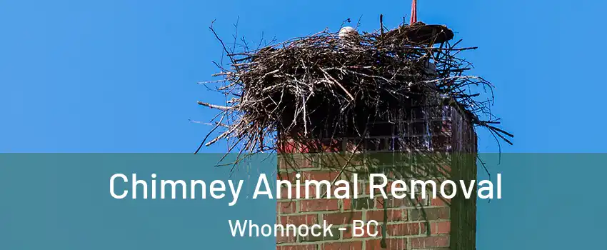 Chimney Animal Removal Whonnock - BC
