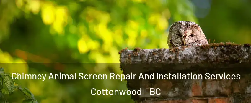  Chimney Animal Screen Repair And Installation Services Cottonwood - BC