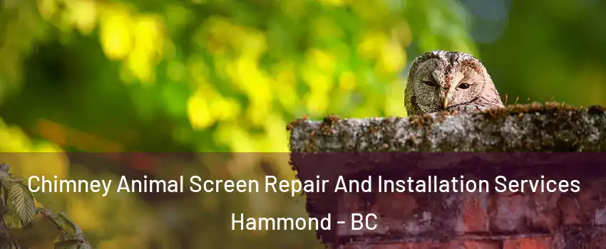  Chimney Animal Screen Repair And Installation Services Hammond - BC