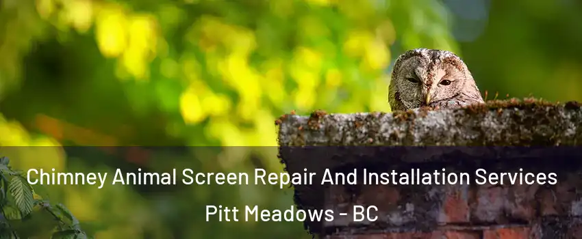  Chimney Animal Screen Repair And Installation Services Pitt Meadows - BC