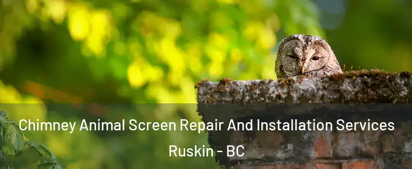  Chimney Animal Screen Repair And Installation Services Ruskin - BC
