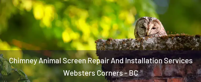  Chimney Animal Screen Repair And Installation Services Websters Corners - BC