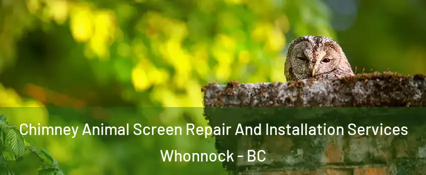  Chimney Animal Screen Repair And Installation Services Whonnock - BC