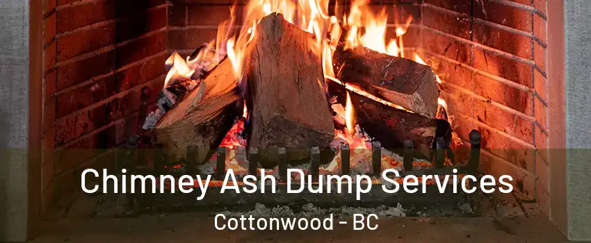  Chimney Ash Dump Services Cottonwood - BC