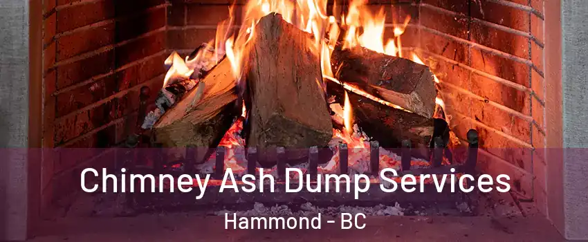  Chimney Ash Dump Services Hammond - BC