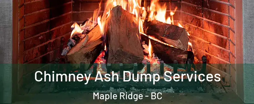  Chimney Ash Dump Services Maple Ridge - BC