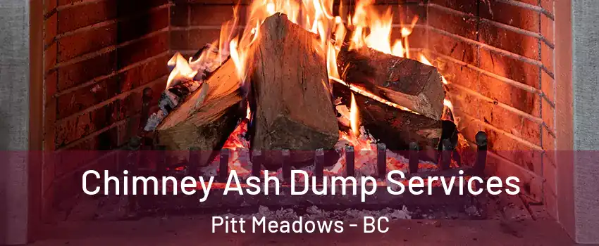  Chimney Ash Dump Services Pitt Meadows - BC