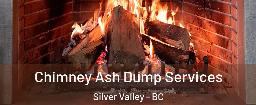  Chimney Ash Dump Services Silver Valley - BC