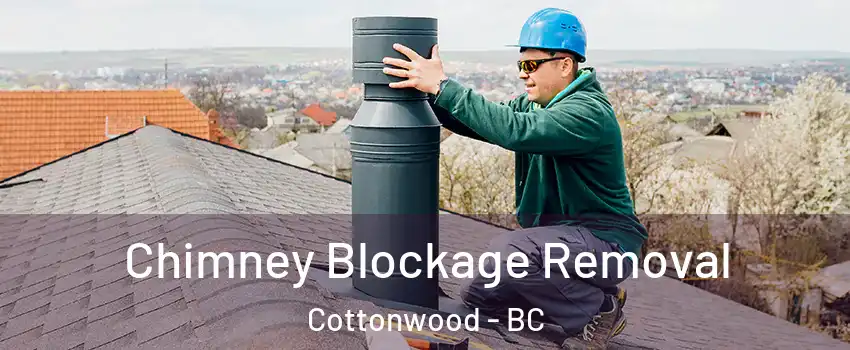 Chimney Blockage Removal Cottonwood - BC