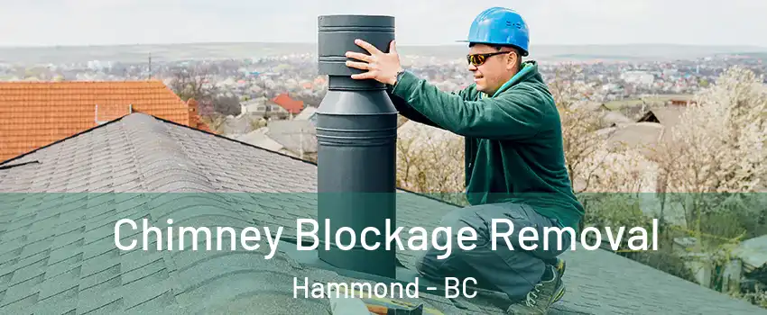  Chimney Blockage Removal Hammond - BC