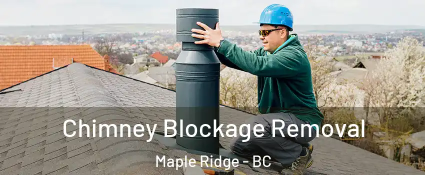  Chimney Blockage Removal Maple Ridge - BC