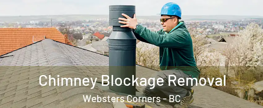  Chimney Blockage Removal Websters Corners - BC