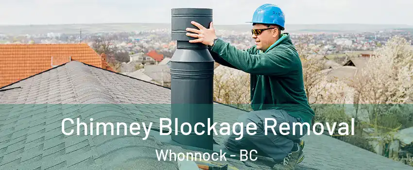  Chimney Blockage Removal Whonnock - BC