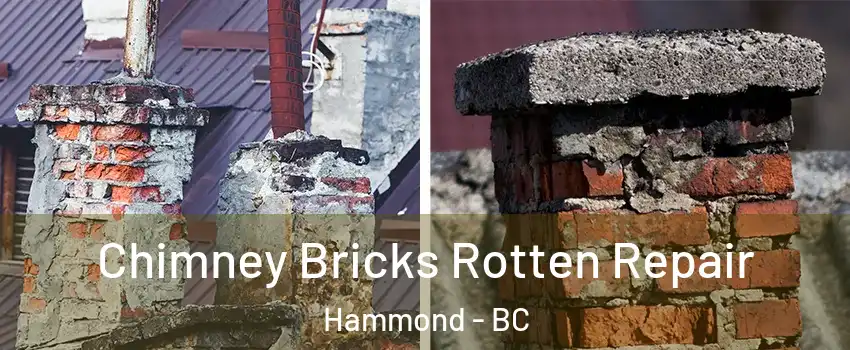  Chimney Bricks Rotten Repair Hammond - BC