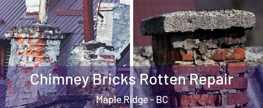  Chimney Bricks Rotten Repair Maple Ridge - BC