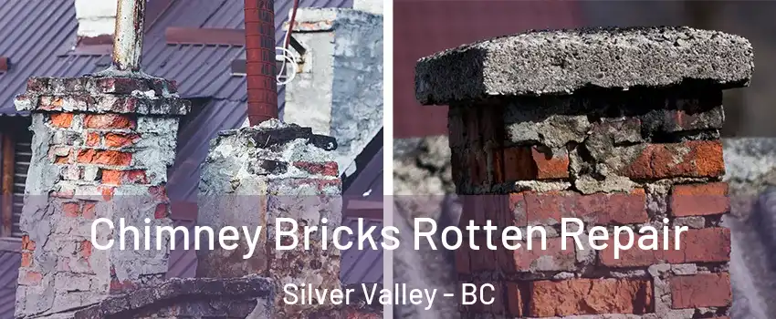  Chimney Bricks Rotten Repair Silver Valley - BC