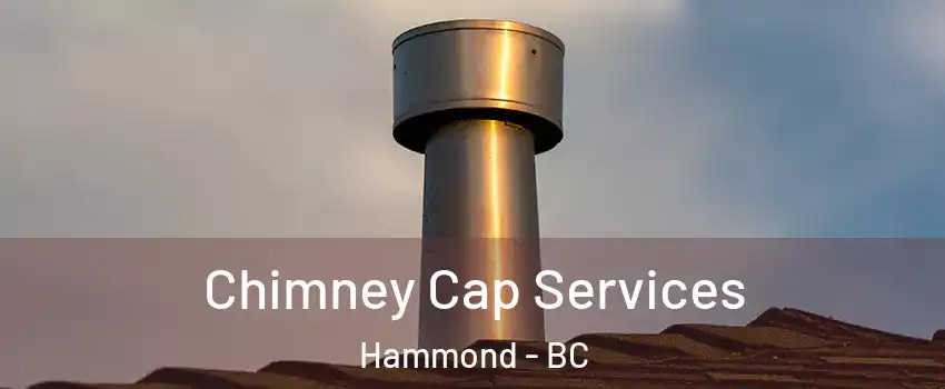  Chimney Cap Services Hammond - BC