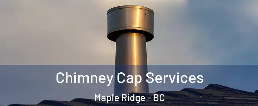  Chimney Cap Services Maple Ridge - BC