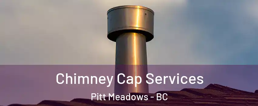  Chimney Cap Services Pitt Meadows - BC