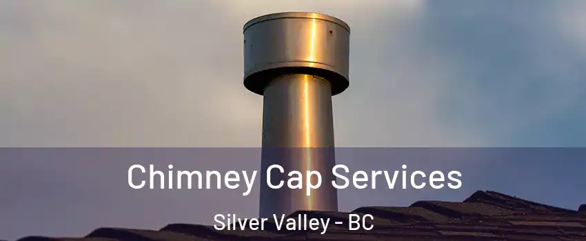  Chimney Cap Services Silver Valley - BC
