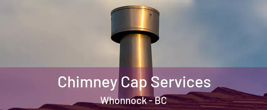  Chimney Cap Services Whonnock - BC