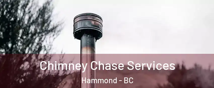  Chimney Chase Services Hammond - BC