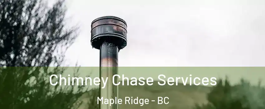  Chimney Chase Services Maple Ridge - BC