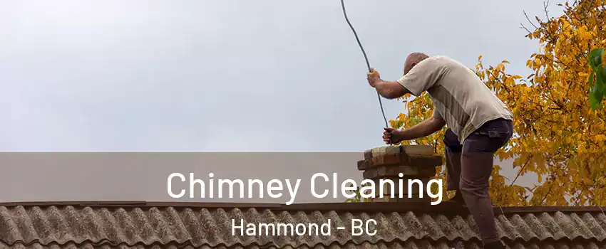  Chimney Cleaning Hammond - BC