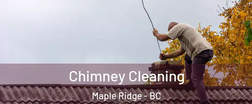  Chimney Cleaning Maple Ridge - BC