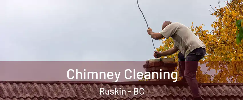  Chimney Cleaning Ruskin - BC