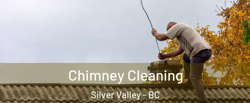  Chimney Cleaning Silver Valley - BC