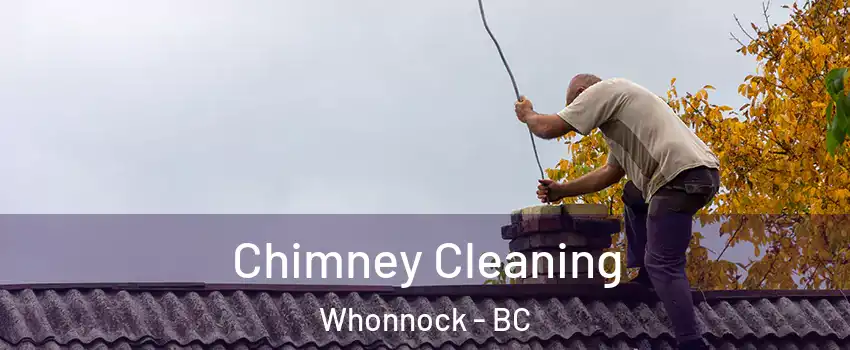  Chimney Cleaning Whonnock - BC