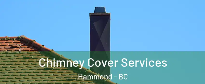  Chimney Cover Services Hammond - BC