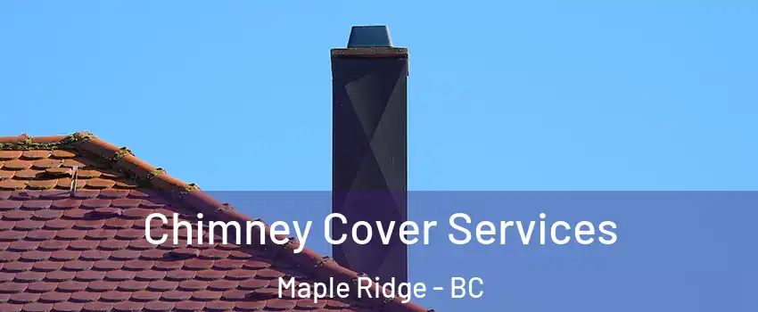  Chimney Cover Services Maple Ridge - BC