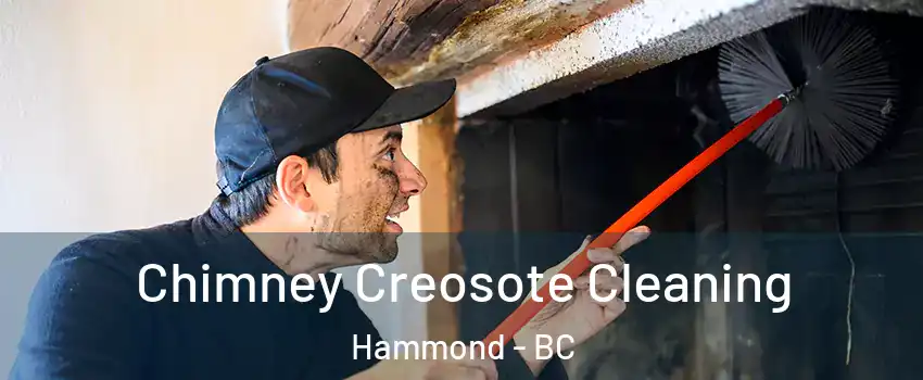  Chimney Creosote Cleaning Hammond - BC