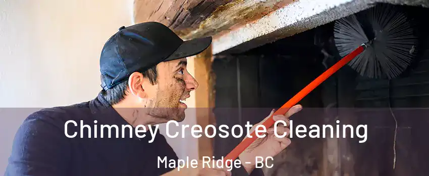  Chimney Creosote Cleaning Maple Ridge - BC