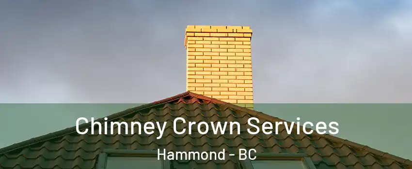 Chimney Crown Services Hammond - BC