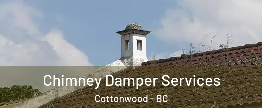  Chimney Damper Services Cottonwood - BC