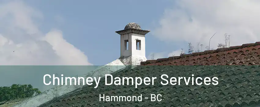  Chimney Damper Services Hammond - BC