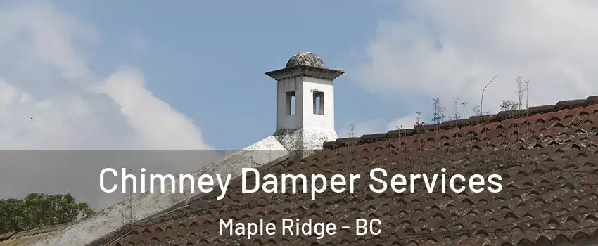  Chimney Damper Services Maple Ridge - BC