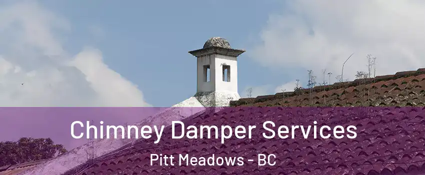 Chimney Damper Services Pitt Meadows - BC
