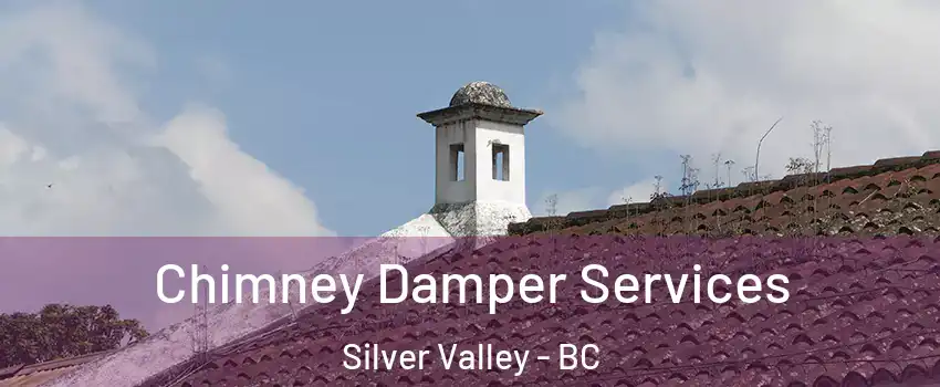  Chimney Damper Services Silver Valley - BC